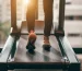 Tips-for-Extending-the-Life-of-Your-Treadmill-treadmill-repair-in-warrenville-il-blog-image